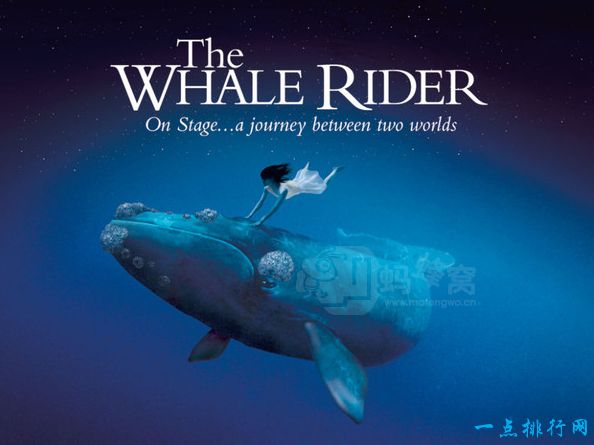 世界十大经典童年电影之一《鲸骑士》