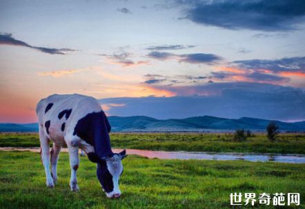 中国最大的城市呼伦贝尔 呼伦贝尔旅游攻略