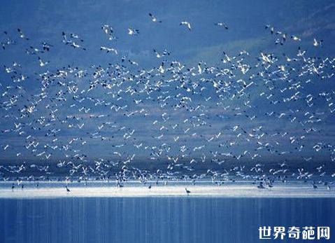 中国最大淡水湖 鄱阳湖面积3960平方公里
