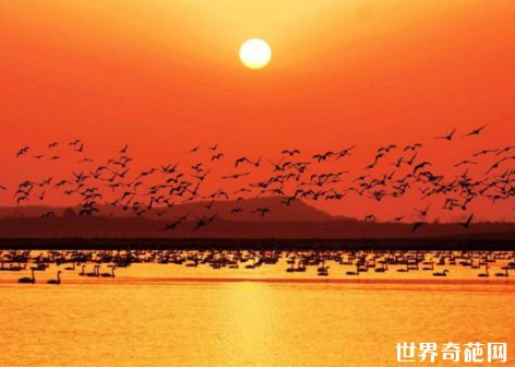 中国最大淡水湖 鄱阳湖面积3960平方公里