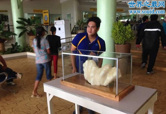 世界上最大的珍珠，重78斤被雪藏10年(价值1亿美