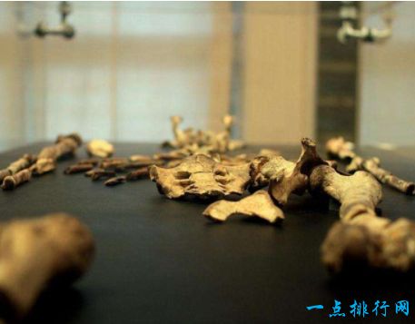 缀满钻石天空下的露西 – 甲壳虫乐队