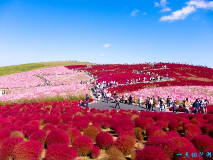 世界十大最美丽的城镇排行榜：日本日立海滨公园