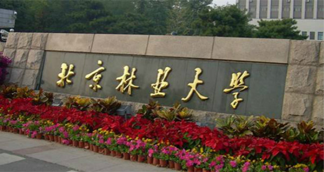 北京林业大学