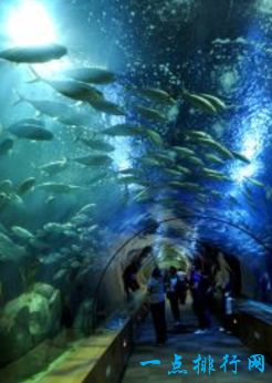 日本冲绳美之海水族馆