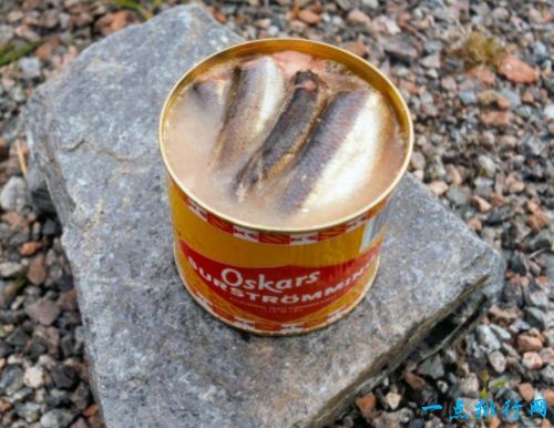 全球十大恶心食品之一：鲱鱼罐头