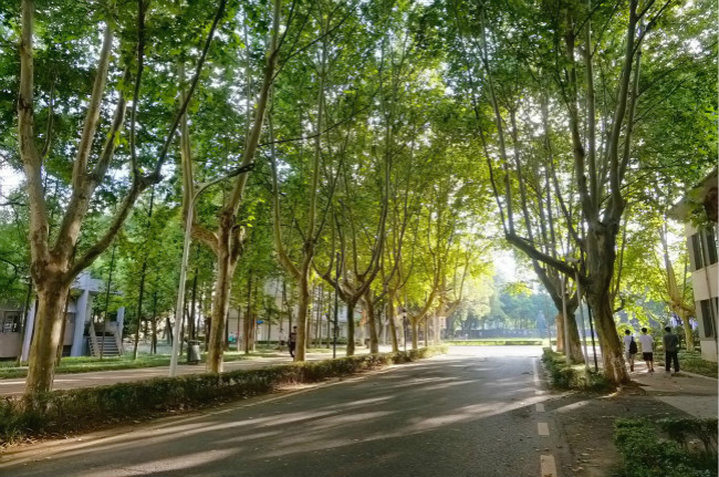 南京信息工程大学