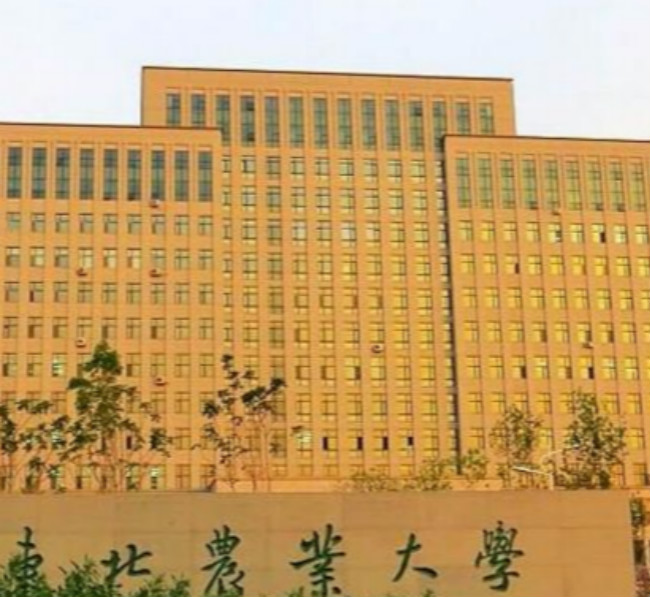 东北林业大学