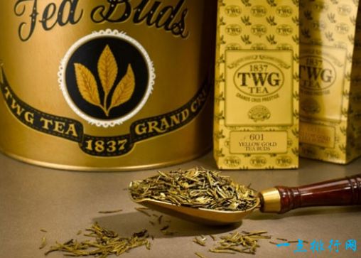 世界最贵的茶叶黄金芽茶叶