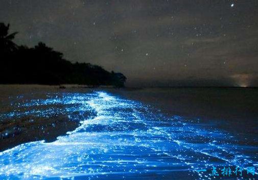 蓝色星海，瓦度岛