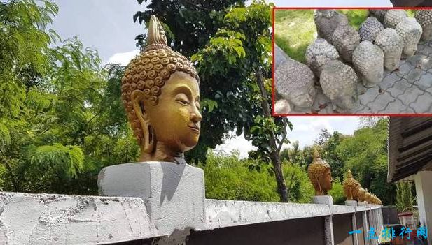 最牛别墅 佛头建别墅被举报 责令全部拆除