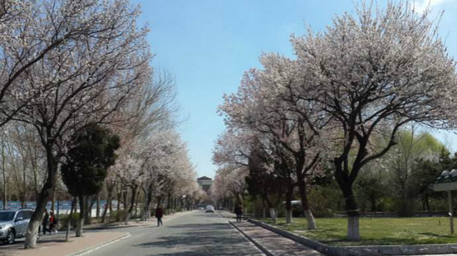 吉林大学