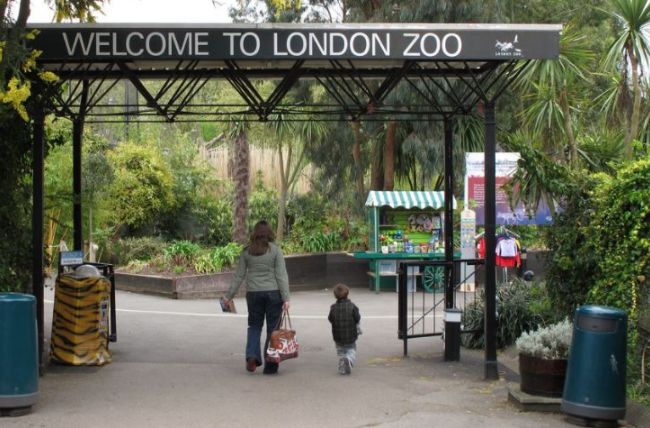 英国伦敦动物园