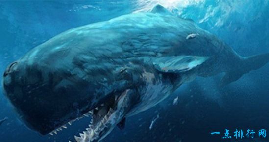 地球上的远古十大怪兽之一：梅尔维尔鲸