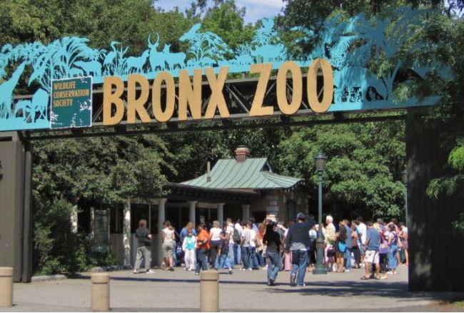美国布朗克斯动物园