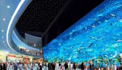 迪拜购物中心水族馆