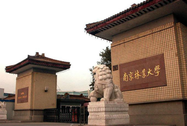 南京林业大学