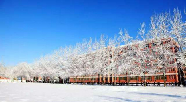 中央民族大学