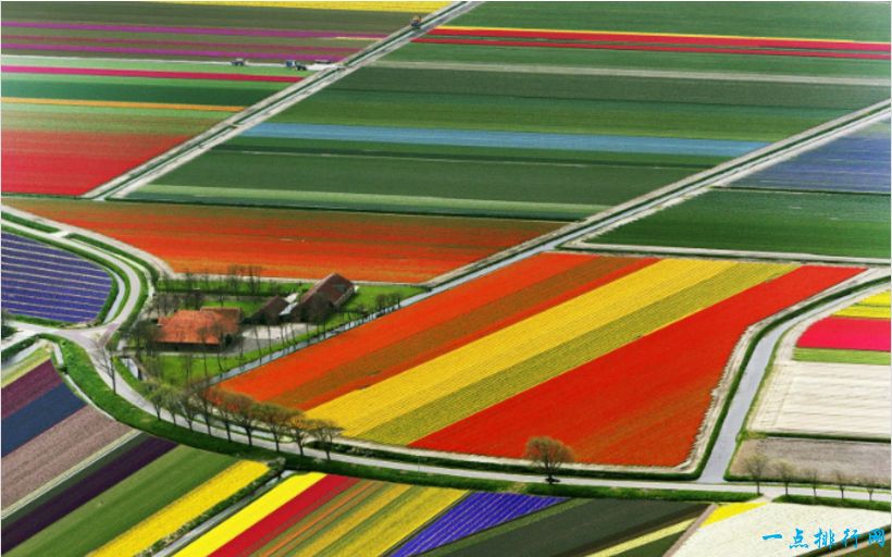 世界上最美丽的旅游景点排行榜：荷兰的郁金香田野