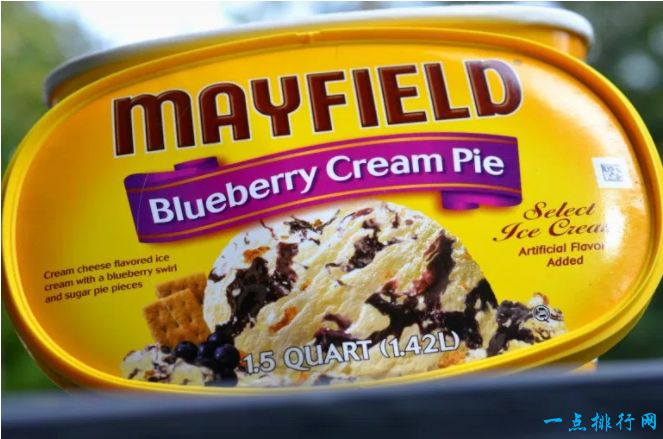 全球十大冰淇淋品牌之一：梅菲尔德乳业