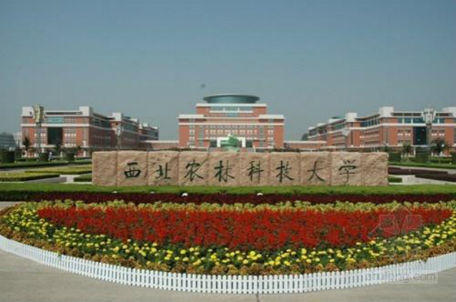 西北农林科技大学