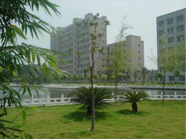 长江大学