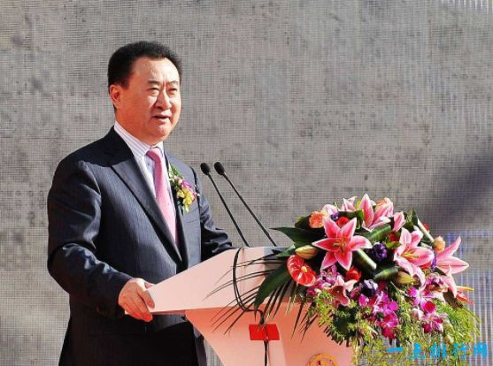 中国十大富豪之一王健林 净资产2139亿人民币