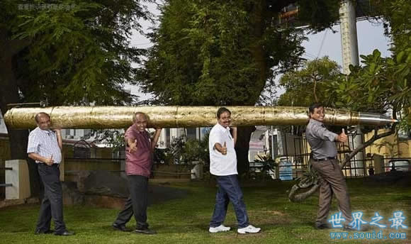 世界上最大的圆珠笔，长度达5.5米