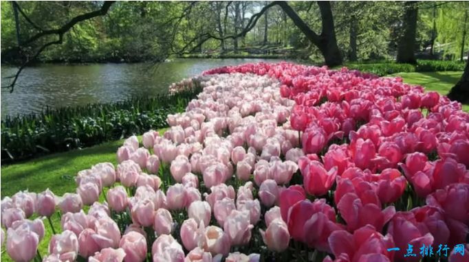 世界十大最美丽的花园：荷兰利瑟库肯霍夫公园
