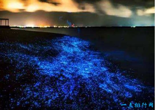 7.马尔代夫 星星海