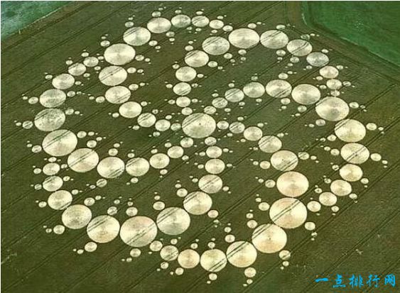麦田怪圈