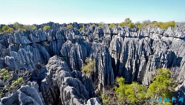 磬吉国家公园 - 马达加斯加