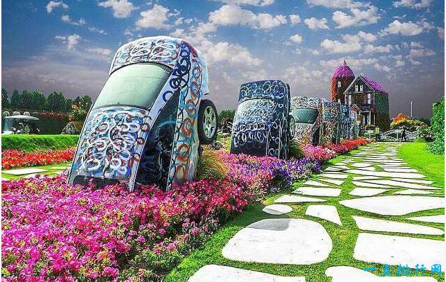世界上最大的花园 4500万枝花打造沙漠花园