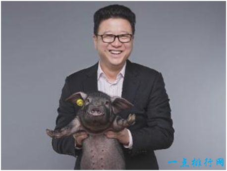网易味央黑猪